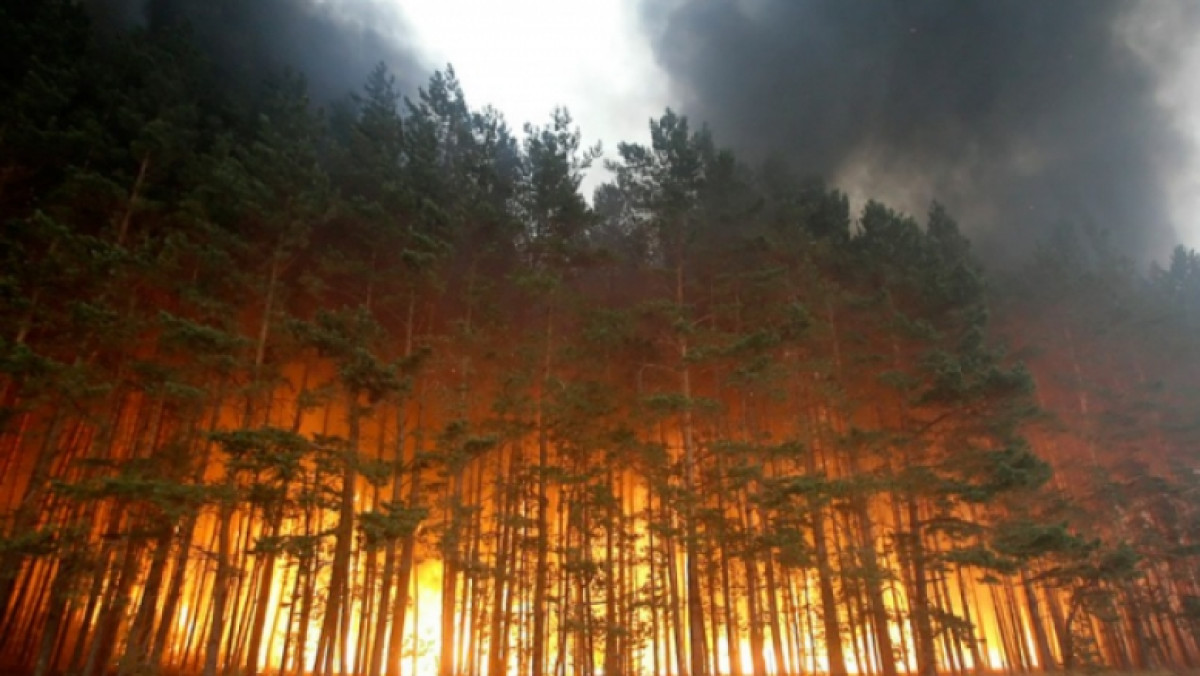 из открытых источников  