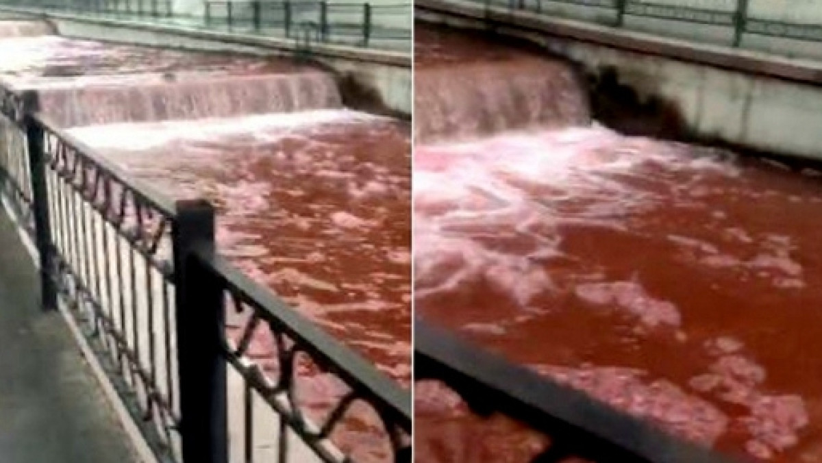 скриншот видео