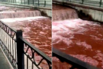 Специалисты ищут причину окрашивания в красный цвет реки Алматинки