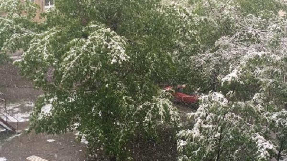 МИА "Казинформ".