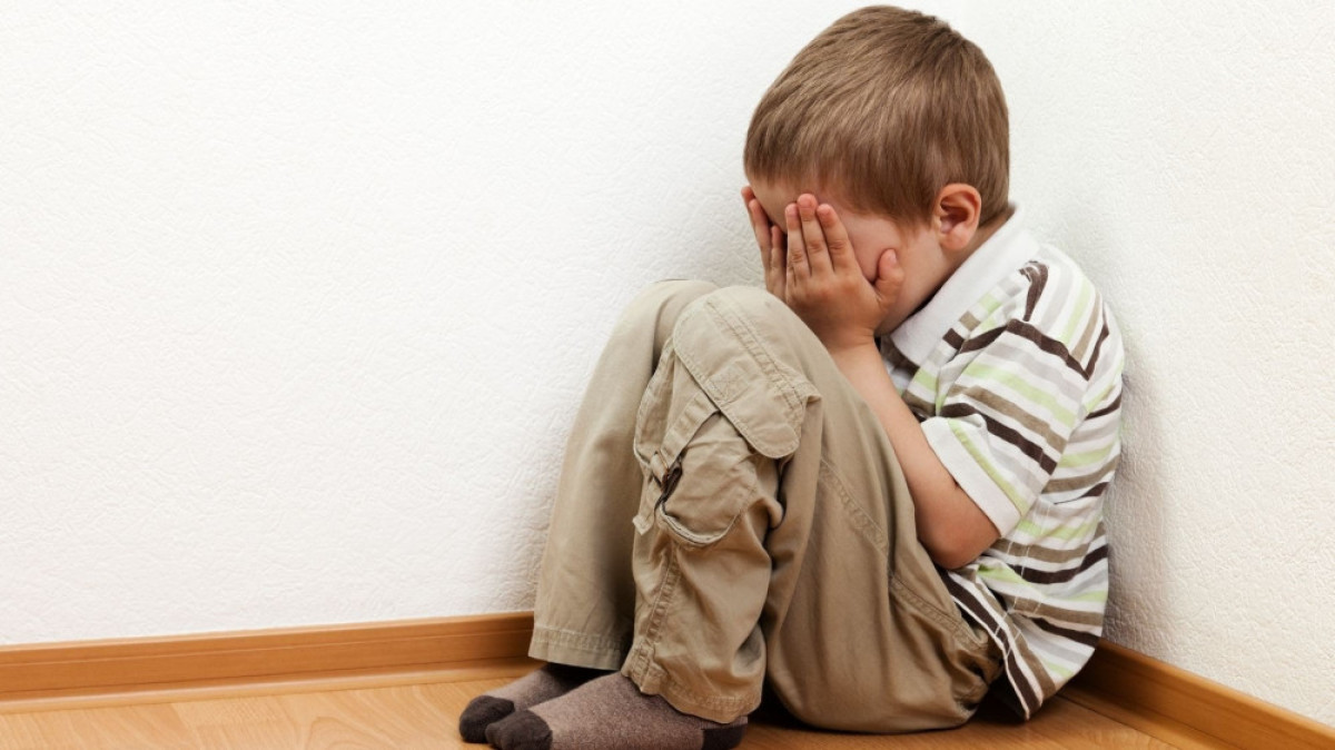 из открытых источников