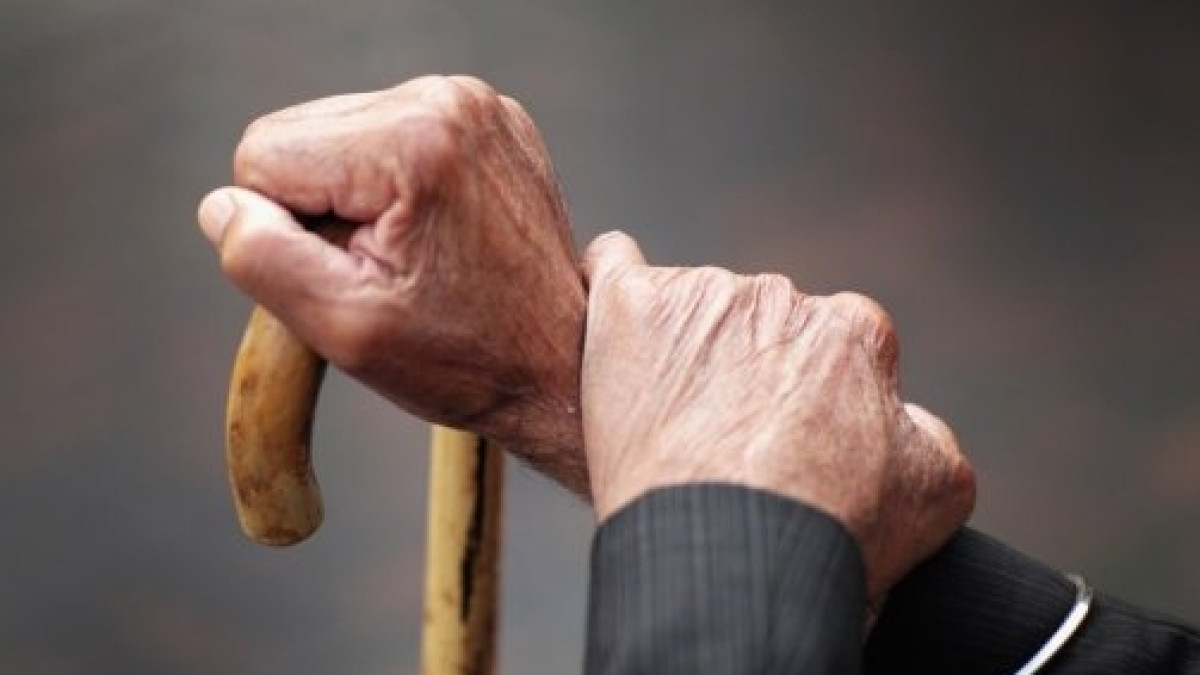 из открытых источников