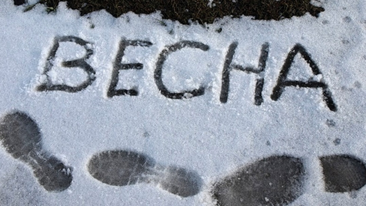 из открытых источников