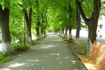 Фотография к новости: Аллея Оренбургской области появится в Актобе