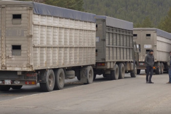 Фотография к новости: Казахстанские транспортные компании стали жертвами мошенников 