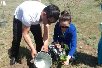 Аллею новорождённых открыли в Актобе 