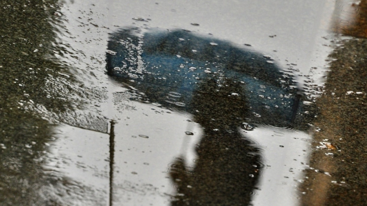 Из открытых источников 