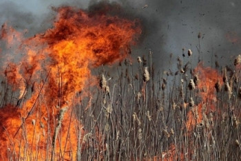 Крупный пожар ликвидировали близ аэропорта в Астане 