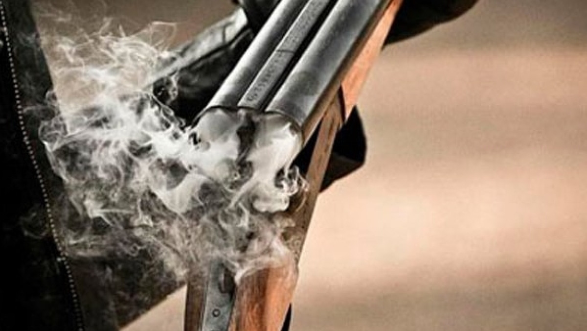 из открытых источников