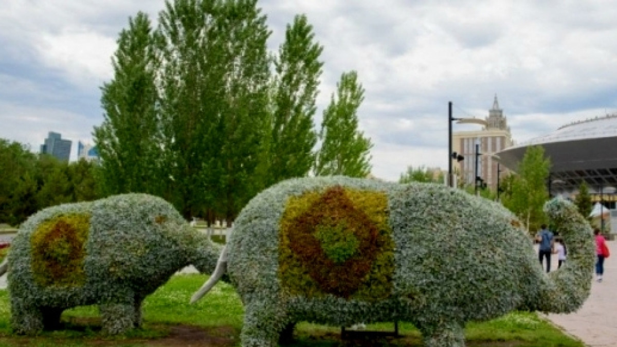 из открытых источников