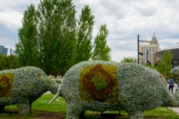 Фотография к новости: Новые декоративные фигуры животных появятся на улицах Астаны