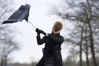 Фотография к новости: Усиление ветра ожидается в ряде областей Казахстана 14 мая