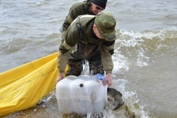 Белых амуров выпустили в озеро Копа для оздоровления в Кокшетау