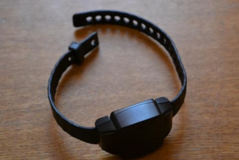 Фотография к новости: На Жомарта Ертаева наденут электронный браслет