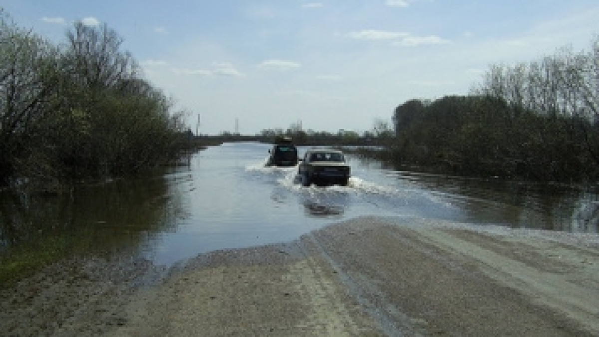 из открытых источников  