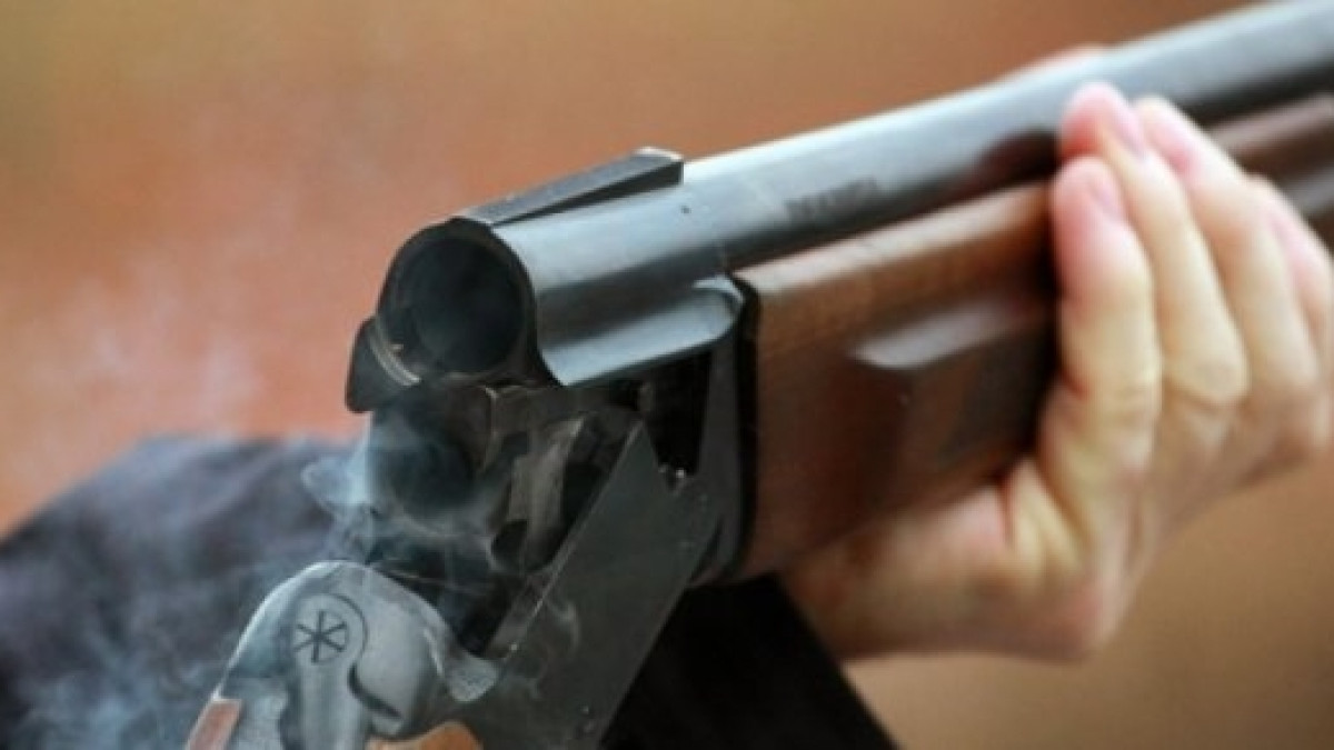 из открытых источников