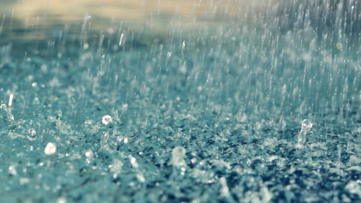 Из открытого источника 