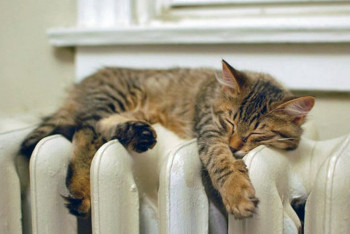 Фотография к новости: Когда отключат отопление в Астане, рассказали в акимате