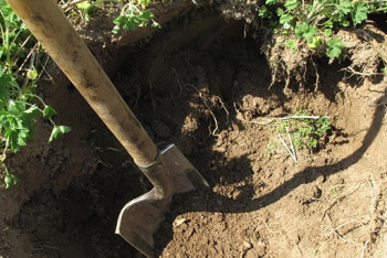 Фотография к новости: Живьём закопал своего знакомого житель Костанайской области