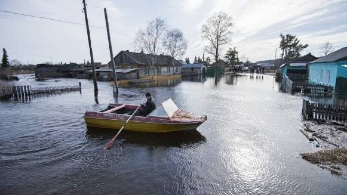 Из открытых источников 