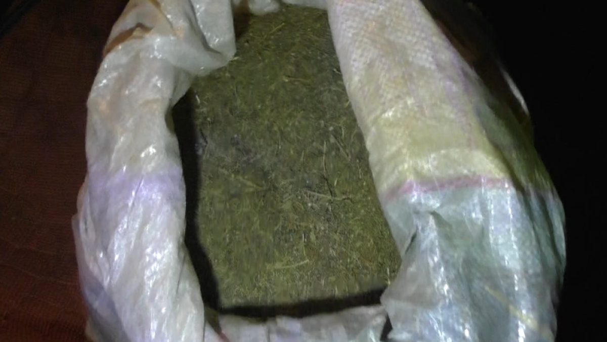 Пресс-служба ДВД ВКО