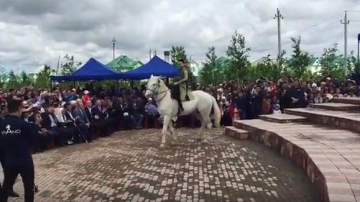 Instagram.com/toregalitoreali