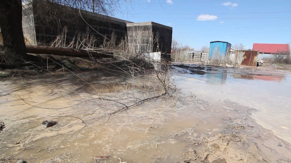 из открытых источников