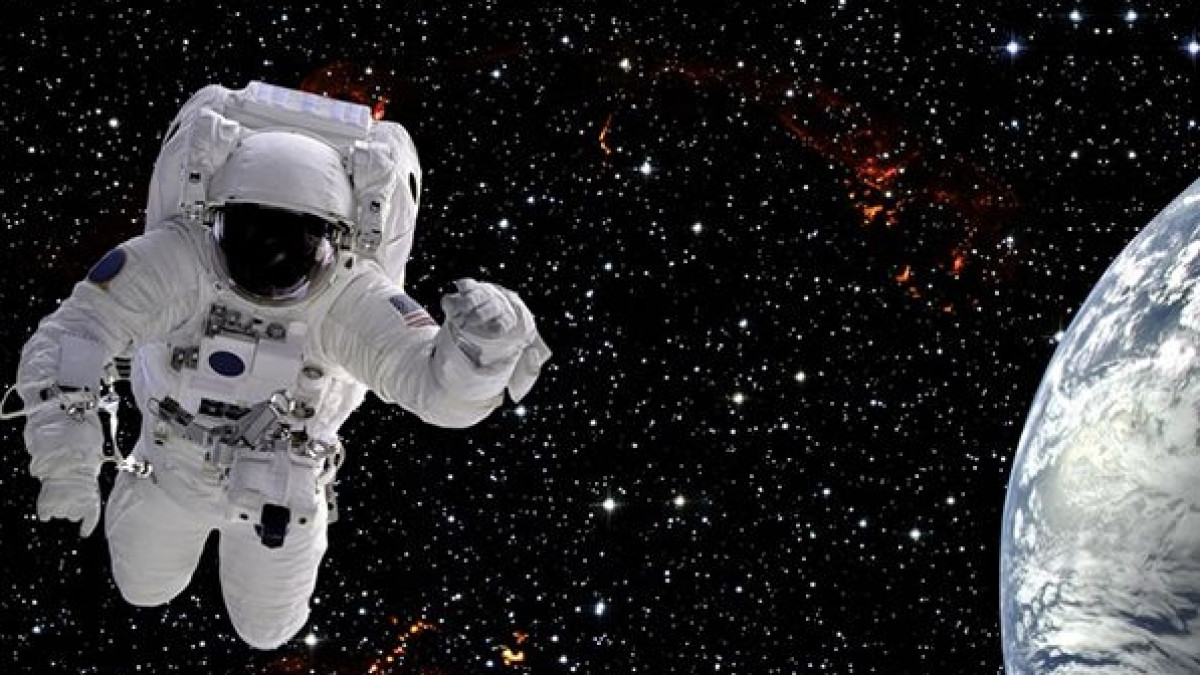 из открытых источников