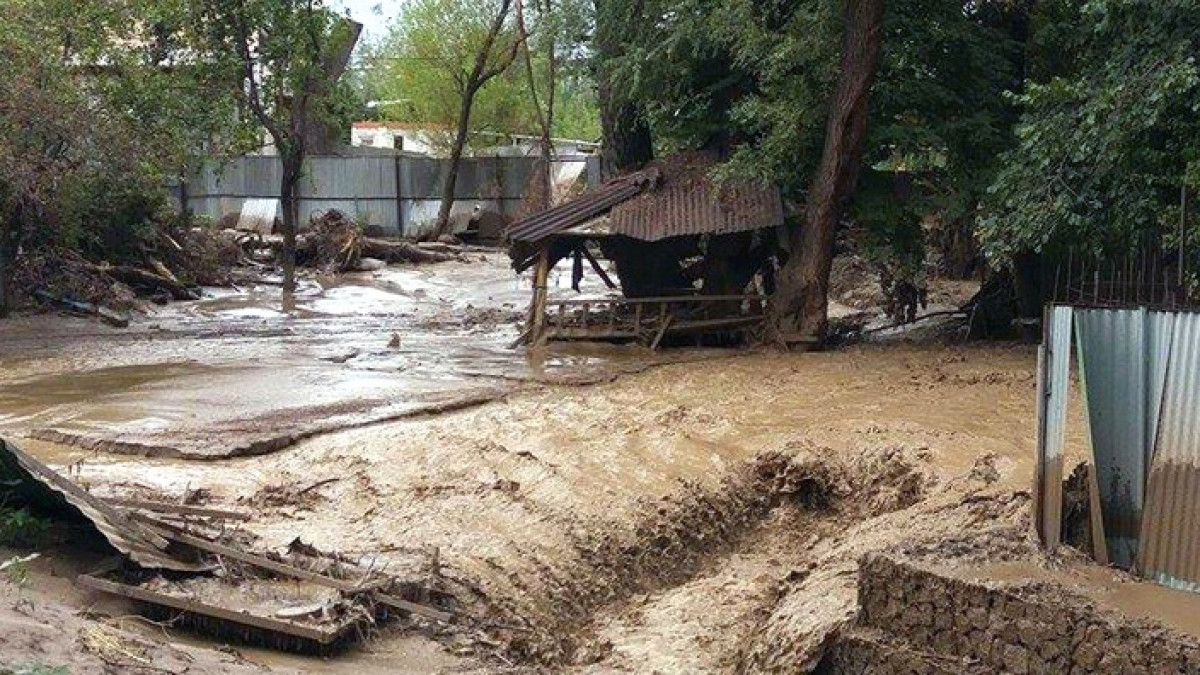 из открытых источников