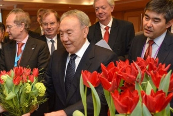 Фотография к новости: Пять тысяч тюльпанов сорта "Президент Назарбаев" высадили в Алматы