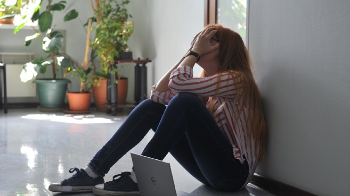 из открытых источников  