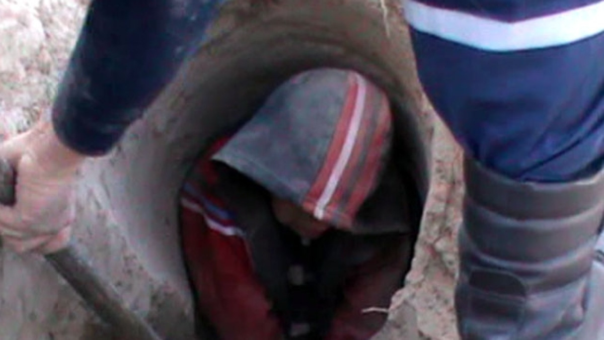 из открытых источников  