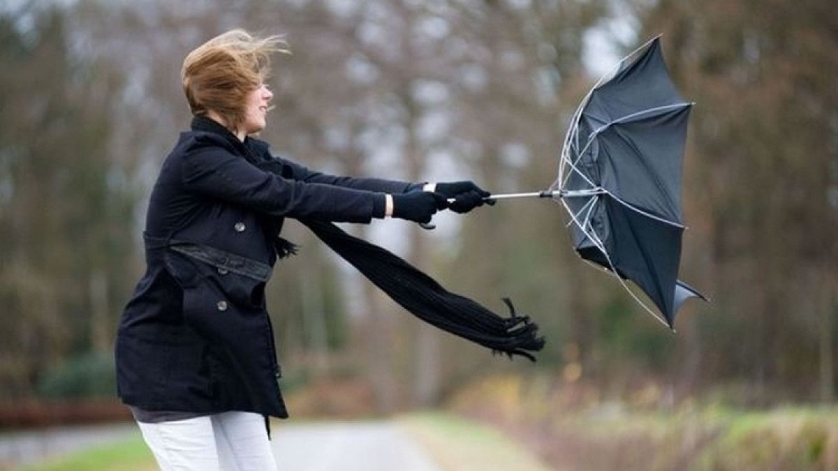 Из открытого источника 