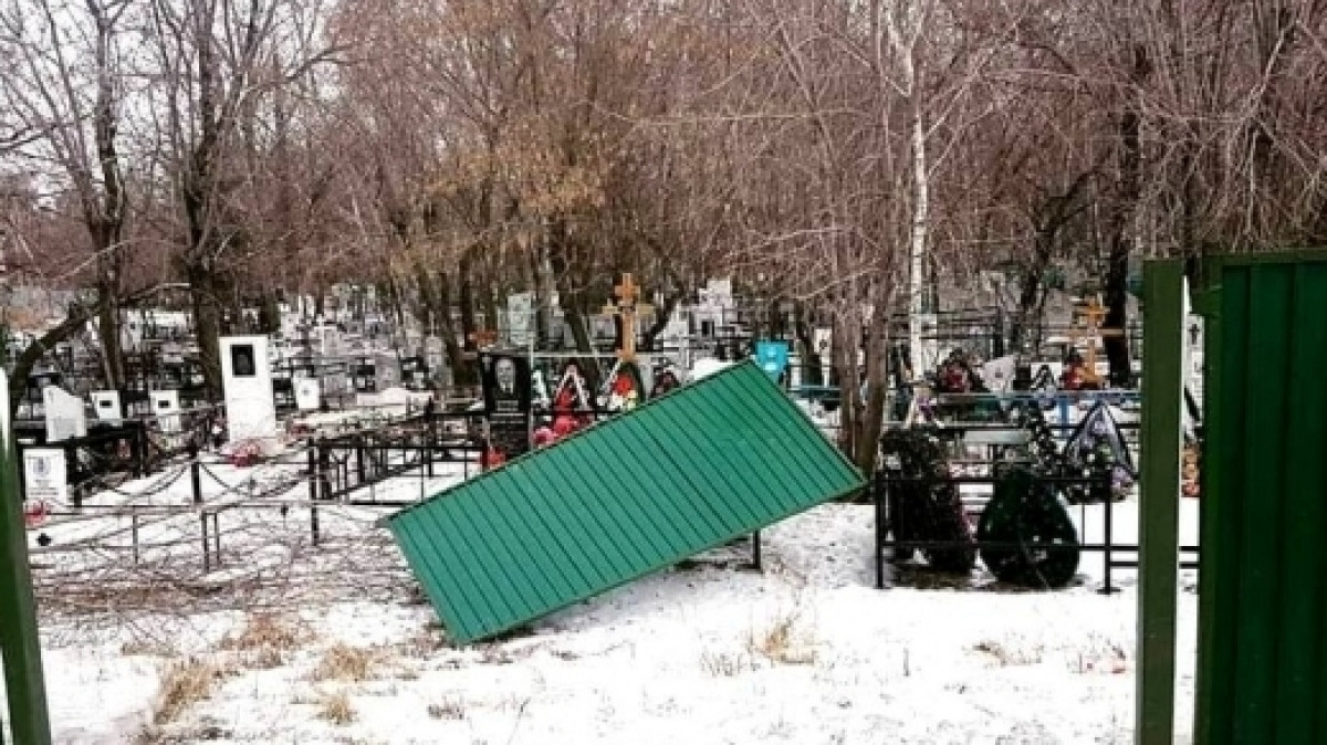 из открытых источников