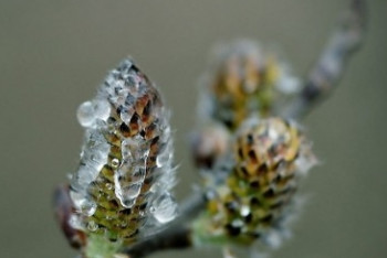 Фотография к новости: То тепло, то холодно - прогноз на май озвучили синоптики 