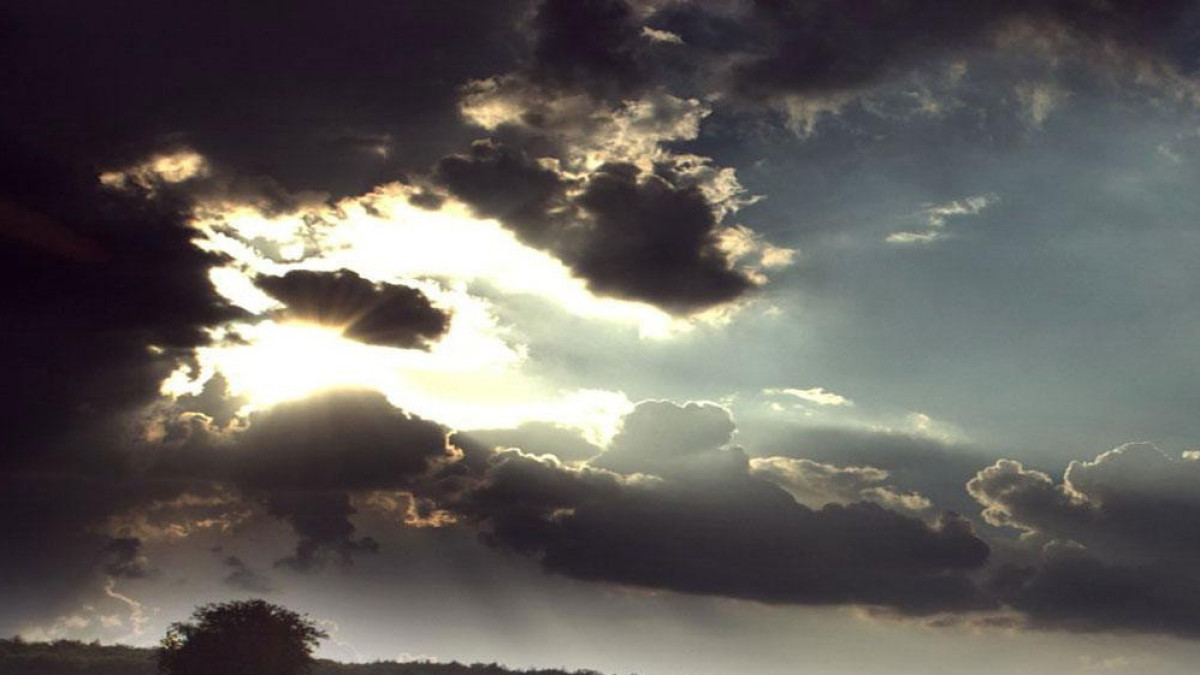 Из открытых источников 