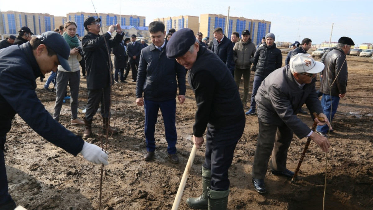 Из открытых источников 