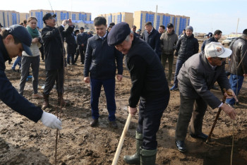 Фруктовый сад посадили в Актобе 