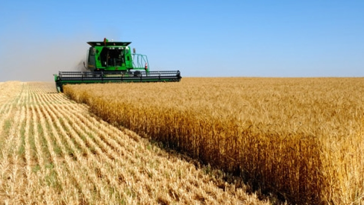 Из открытых источников 