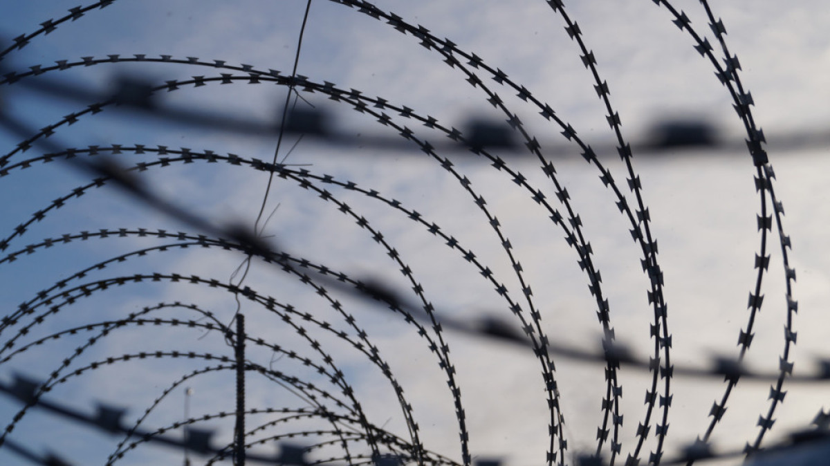 из открытых источников