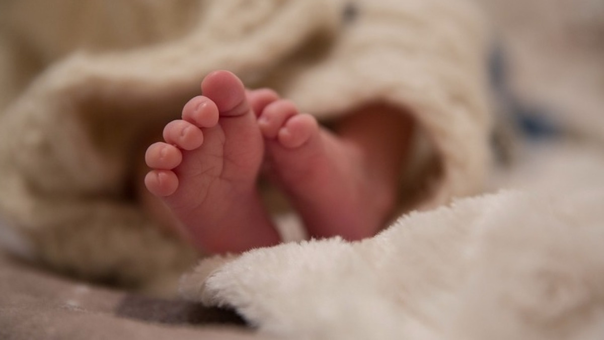 из открытых источников