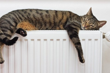 Фотография к новости: Когда в Астане завершится отопительный сезон, сообщил акимат