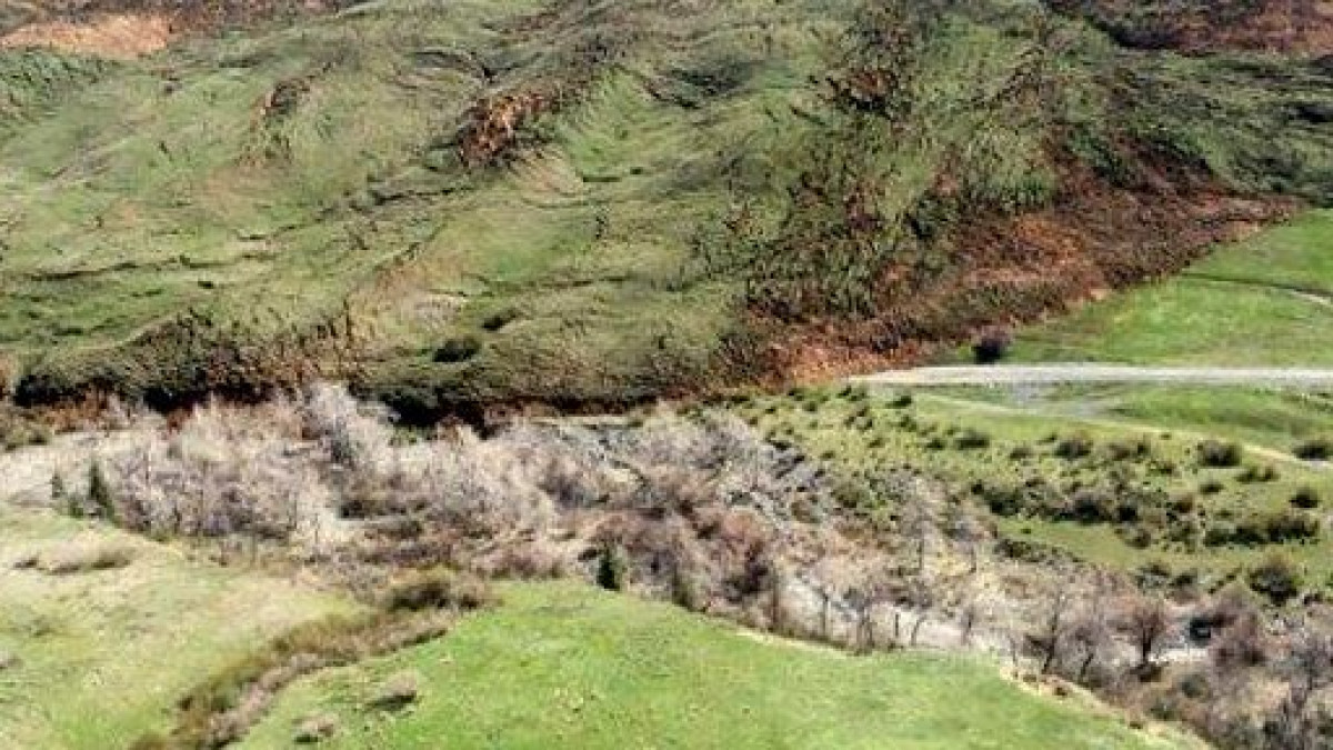 из открытых источников