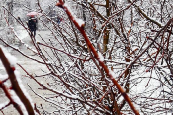 Фотография к новости: На актюбинцев в конце апреля обрушился снегопад