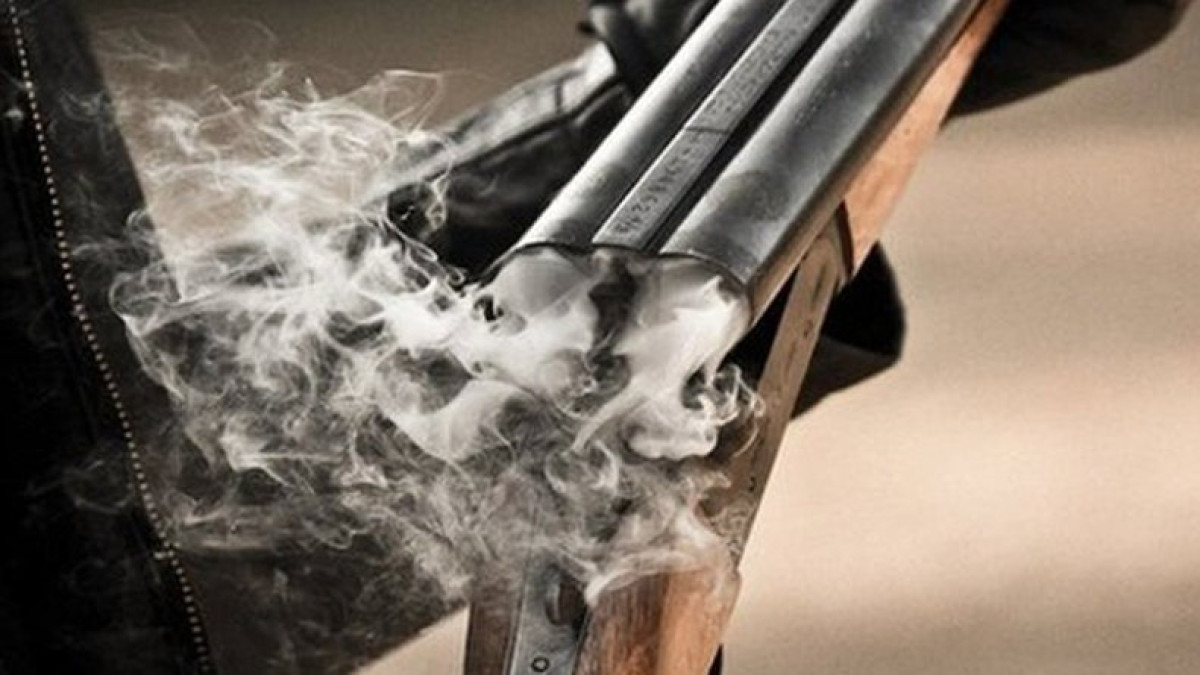 из открытых источников