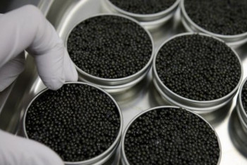 Фотография к новости: С 14 банками чёрной икры в рюкзаке разгуливал мужчина в Атырау