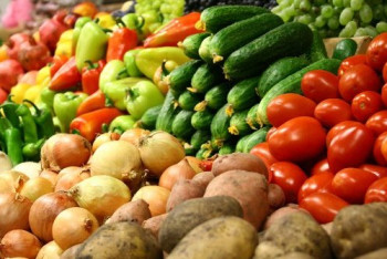 Фотография к новости: Россия вернула Казахстану более 90 тонн подкарантинной продукции