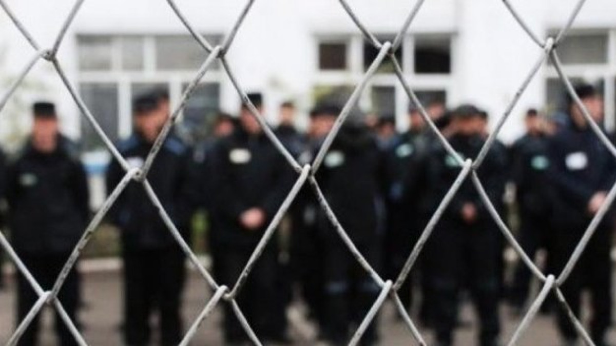 из открытых источников  