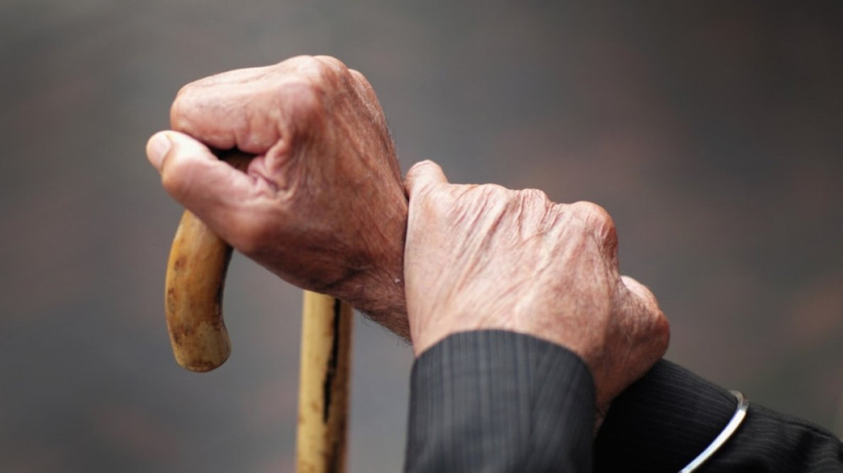 из открытых источников  