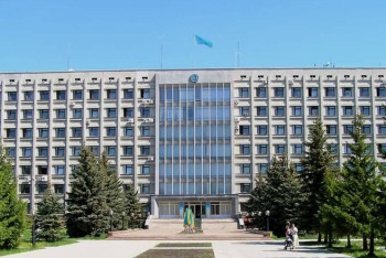 Из-за дохлой кошки в акимате СКО разгорелся скандал 